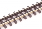 Preview: Sleeper Band Nm Track with double Guard Rail, 2x110 mm