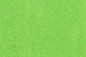 Preview: 4 different grass leaves format A4