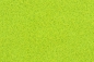 Preview: 4 different grass leaves format A4