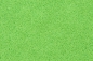 Preview: 4 different grass leaves format A4