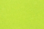 Preview: 4 different grass leaves format A4