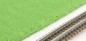 Preview: 4 different grass leaves format A4
