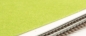 Preview: 4 different grass leaves format A4