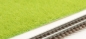 Preview: 4 different grass leaves format A4