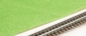 Preview: 4 different grass leaves format A4