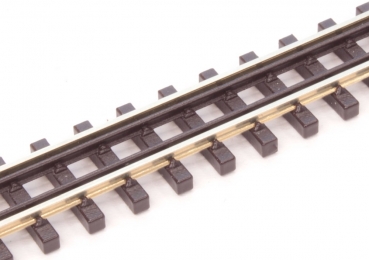 Sleeper Band Nm Track with double Guard Rail, 2x110 mm