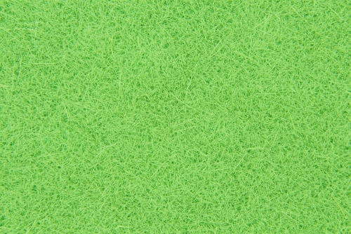 4 different grass leaves format A4