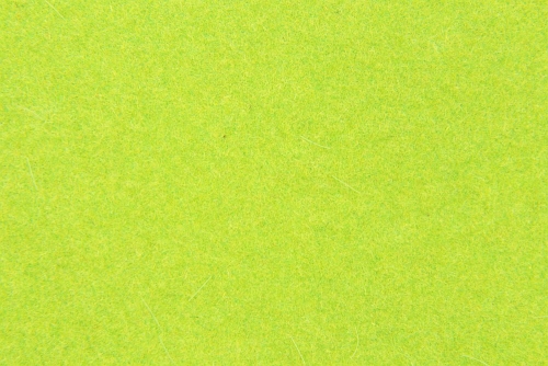 4 different grass leaves format A4
