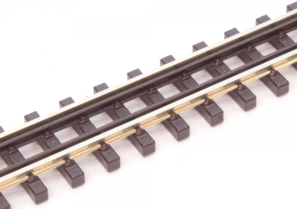 Sleeper Band Nm Track with double Guard Rail, 2x110 mm