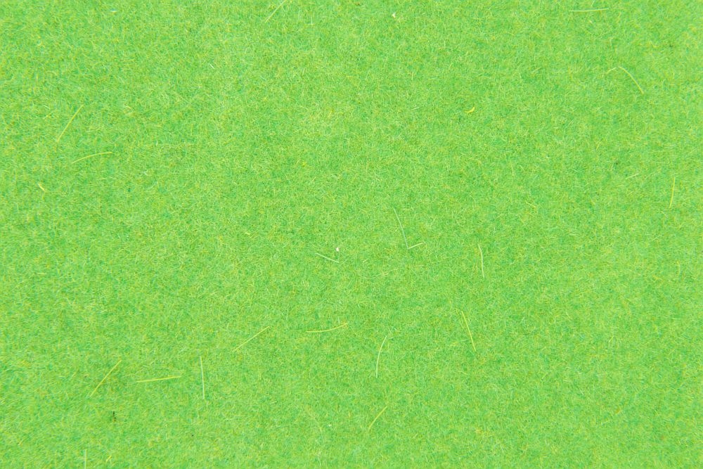 4 different grass leaves format A4
