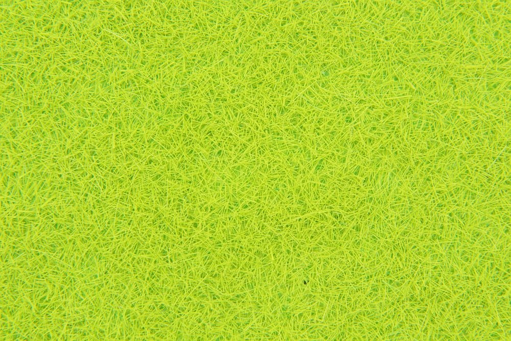 4 different grass leaves format A4