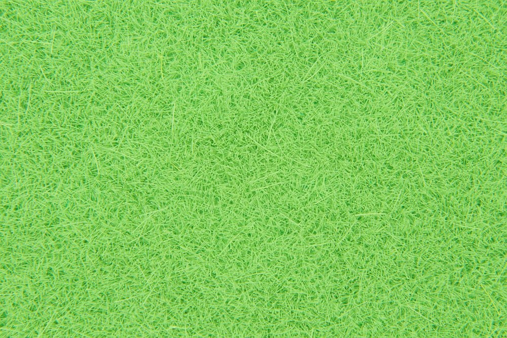 4 different grass leaves format A4