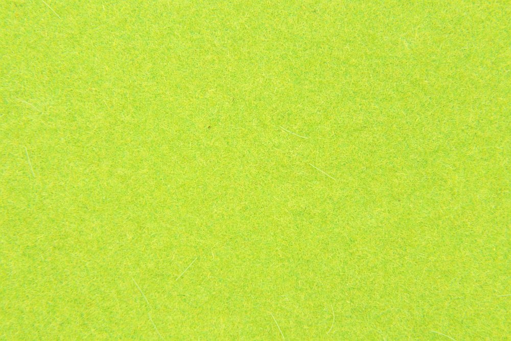 4 different grass leaves format A4