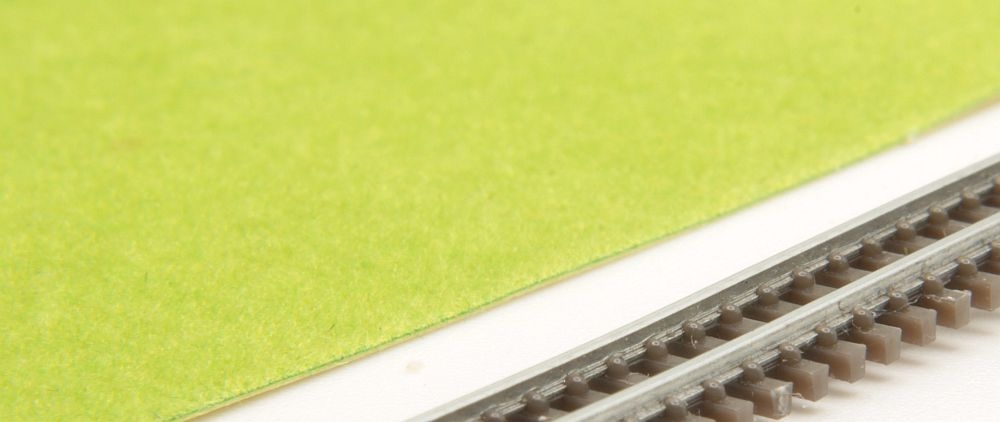 4 different grass leaves format A4