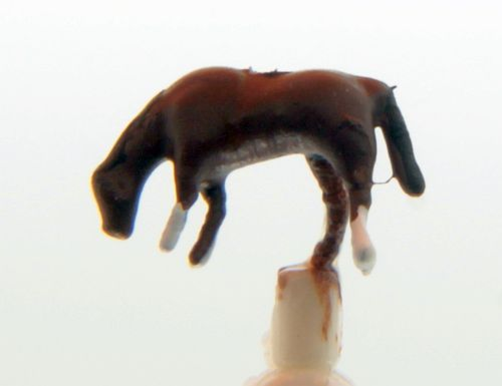 Figure Set II
