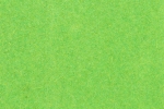 4 different grass leaves format A4